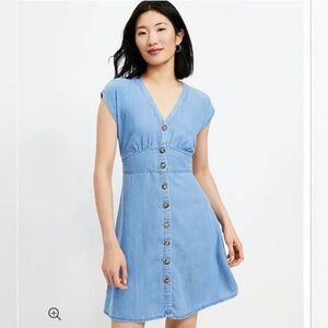 Ann Taylor Loft Chambray Button Flare Dress Size 4P Petite